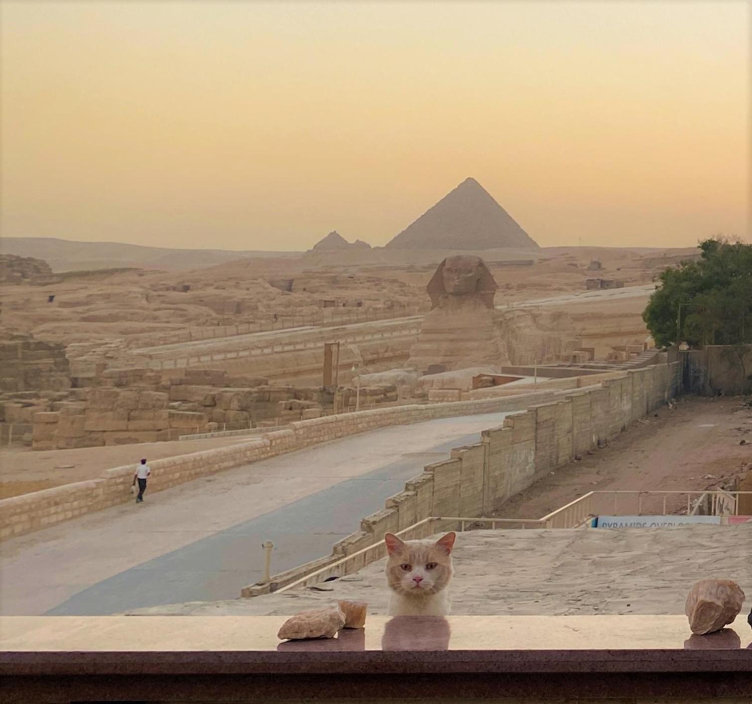 Seven Pyramids Panoramic View Inn Kafret el-Gabal Exterior foto